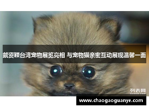 戴资颖台湾宠物展览亮相 与宠物猫亲密互动展现温馨一面