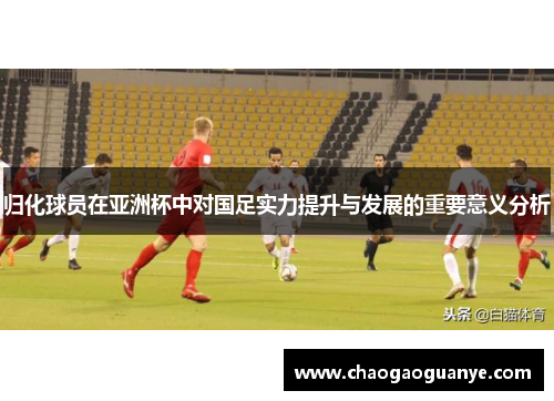归化球员在亚洲杯中对国足实力提升与发展的重要意义分析